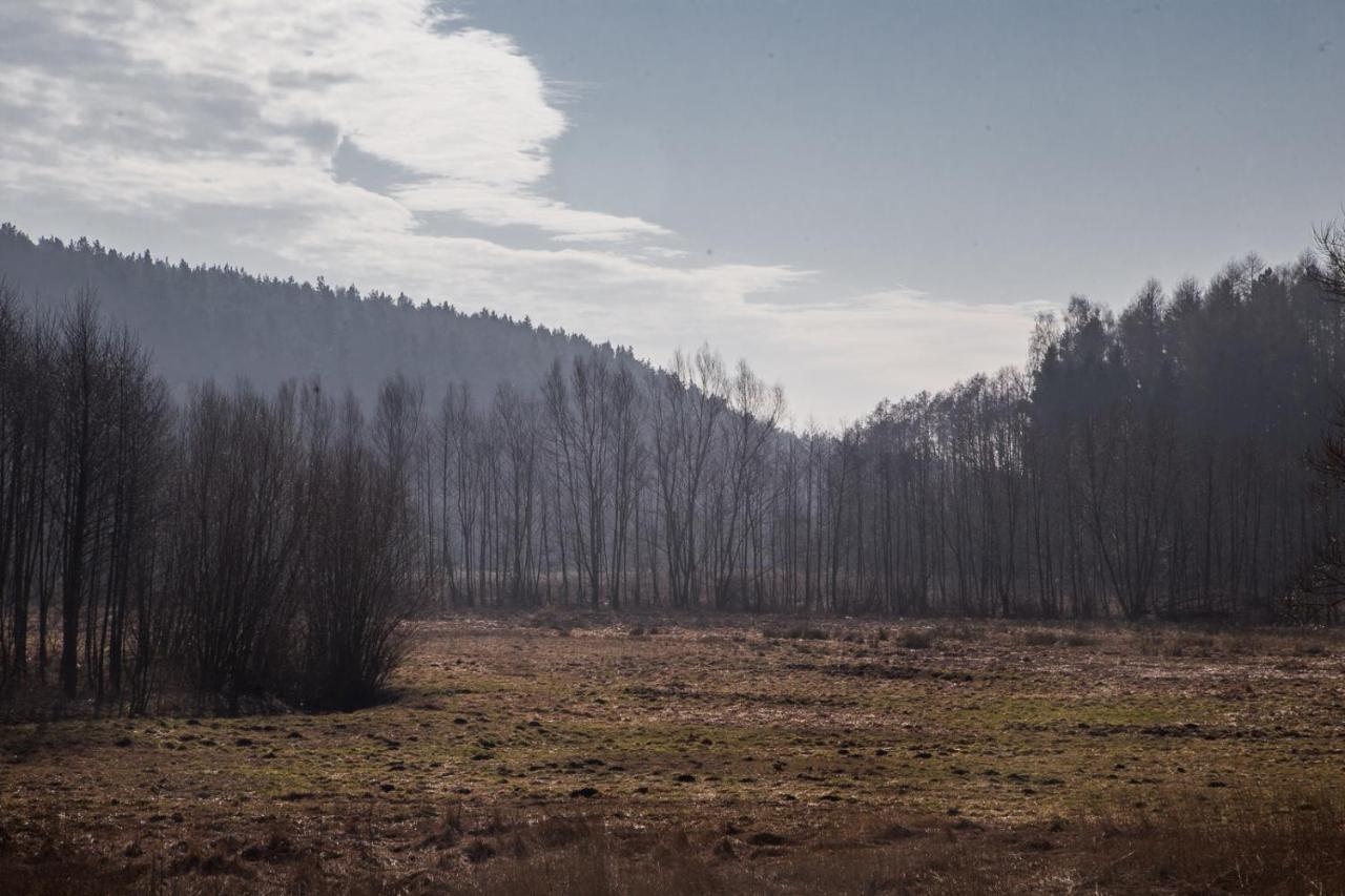 Domki Przystanek Drzewina Exterior foto